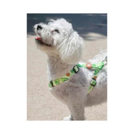Dukier Avocado Arnes Clasico para Perros Collar, Correa y Arnes Perro Patitas&co
