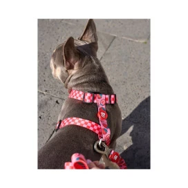 Dukier Berry Love Arnes Clasico para Perros Collar, Correa y Arnes Perro Patitas&co