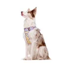 Dukier Trail Smiley Arnes para Perros Patitas&co Patitas&co