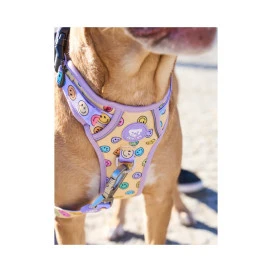 Dukier Trail Smiley Arnes para Perros Patitas&co Patitas&co