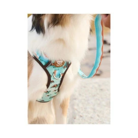 Dukier Trail Turtle Arnes para Perros Collar, Correa y Arnes Perro Patitas&co