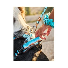 Dukier Trail Turtle Arnes para Perros Collar, Correa y Arnes Perro Patitas&co