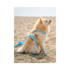 Dukier Arnes Waterproof Sky Blue para Perros Collar, Correa y Arnes Perro Patitas&co