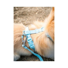 Dukier Arnes Waterproof Sky Blue para Perros Collar, Correa y Arnes Perro Patitas&co