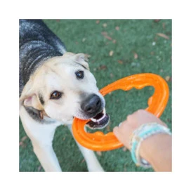 BIONIC Juguete Ultra Resistente Aro Toss-N-Tug Turbo para Perros Juguetes para perros Patitas&co