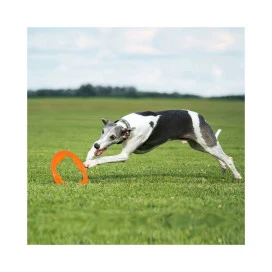 BIONIC Juguete Ultra Resistente Aro Toss-N-Tug Turbo para Perros Juguetes para perros Patitas&co