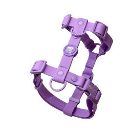 Dukier Arnes Waterproof Morado para Perros Collar, Correa y Arnes Perro Patitas&co