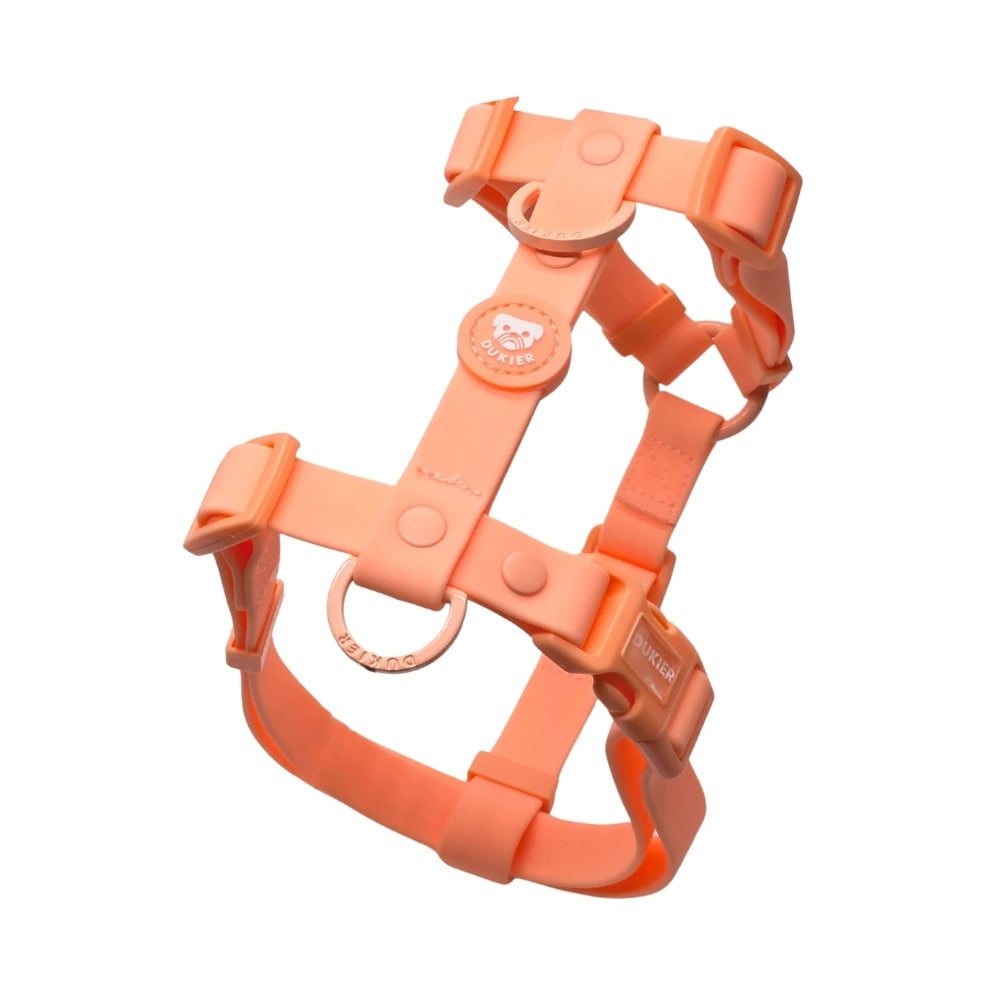 Dukier Arnes Waterproof Coral para Perros Collar, Correa y Arnes Perro Patitas&co