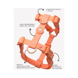 Dukier Arnes Waterproof Coral para Perros Collar, Correa y Arnes Perro Patitas&co