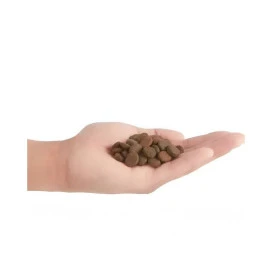 Orijen Regional Red Pienso alto en proteína Perros Pienso para Perros Grano Patitas&co