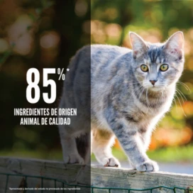 Orijen Original Cat Pienso Natural proteico Gatos Pienso seco Patitas&co