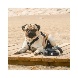 Dukier Arnes Waterproof Negro para Perros Collar, Correa y Arnes Perro Playa Patitas&co