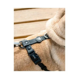 Dukier Arnes Waterproof Negro para Perros Arnes Perro Patitas&co