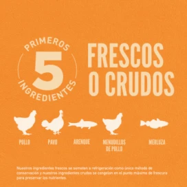 Orijen Original Cat Pienso Natural proteico Gatos Pienso seco Patitas&co