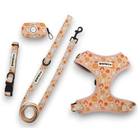 Porta Bolsas Caca Patitas de Soles Collar, Correa y Arnes Perro Patitas&co