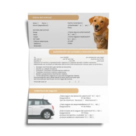 Tríptico de Seguridad Vial en Caso de Accidentes con Mascota Seguridad y Viaje Patitas&co