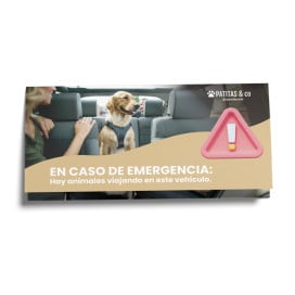 Tríptico de Seguridad Vial en Caso de Accidentes con Mascota Seguridad y Viaje Patitas&co