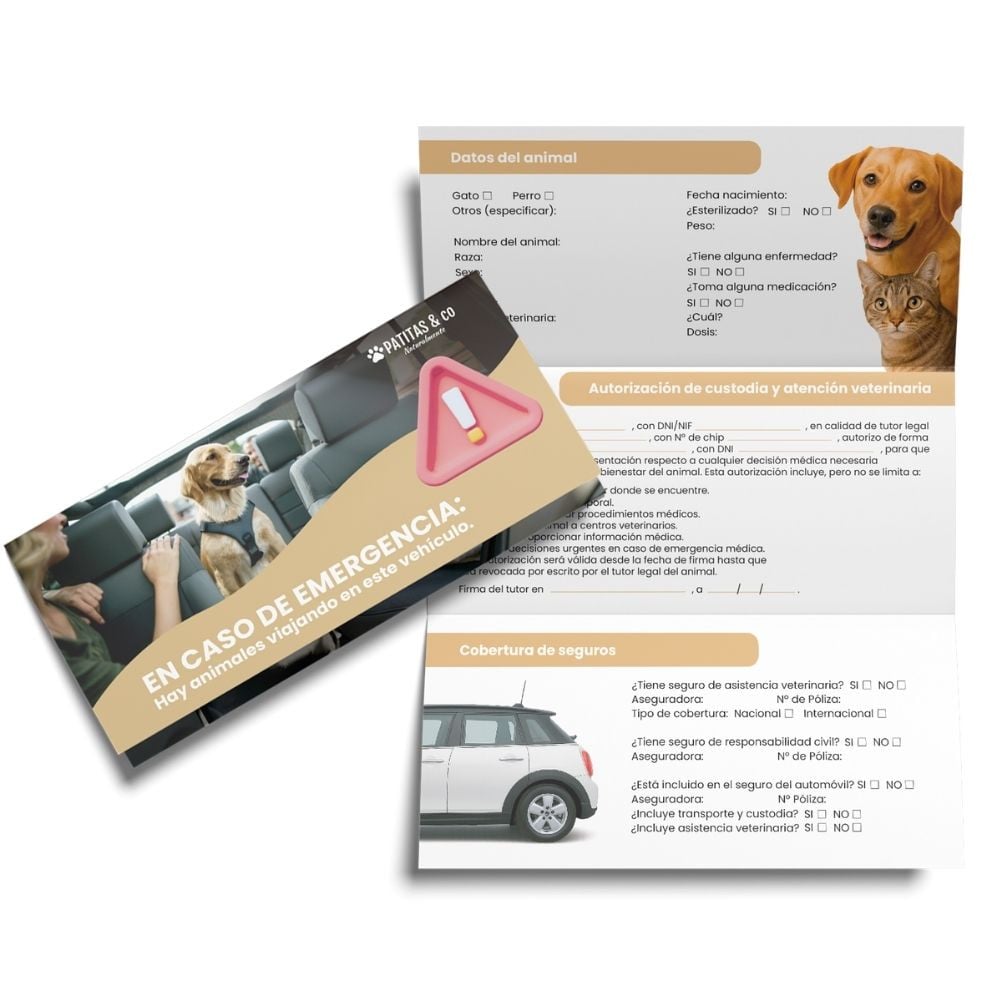 Tríptico de Seguridad Vial en Caso de Accidentes con Mascota Seguridad y Viaje Patitas&co