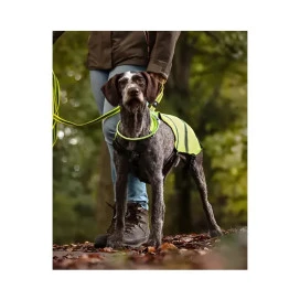 Flamingo Chaleco Reflectante para Perro Seguridad y Viaje para Perro Patitas&co