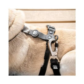 Dukier Correa Waterproof Negro para Perros Collar, Correa y Arnes Perro Patitas&co