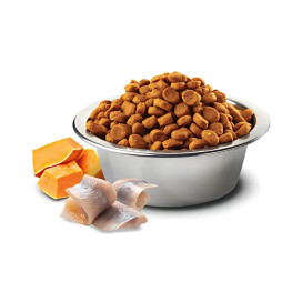 Farmina ND Ocean “Adult Mini” Bacalao y Calabaza Pienso para Perro Pienso para Perros Patitas&co