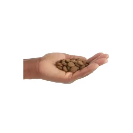 Orijen Senior Pienso Natural Alto en Proteína para Perros Pienso para Perros Patitas&co