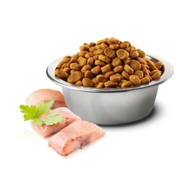 Farmina ND Ocean Adult Medium Maxi Arenque y Naranja Pienso para Perro Pienso para Perros Patitas&co