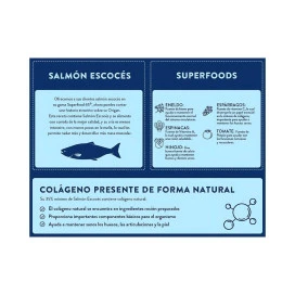 Instinto Pienso Natural de Salmón Escocés para Perro Cachorro Pienso para Cachorros Patitas&co