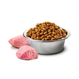 Farmina ND Pumpkin Pienso de Cordero Adult Med/Maxi para Perros Pienso para Perros Patitas&co