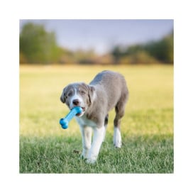 Kong Puppy Goodie Juguete en forma de Hueso para Cachorro Juguetes para perros Patitas&co