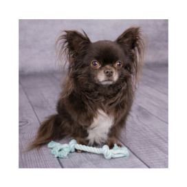 Flamingo Cuerda con 2 Nudos Color Turquesa para Perros Pequeños Juguetes para perros Patitas&co
