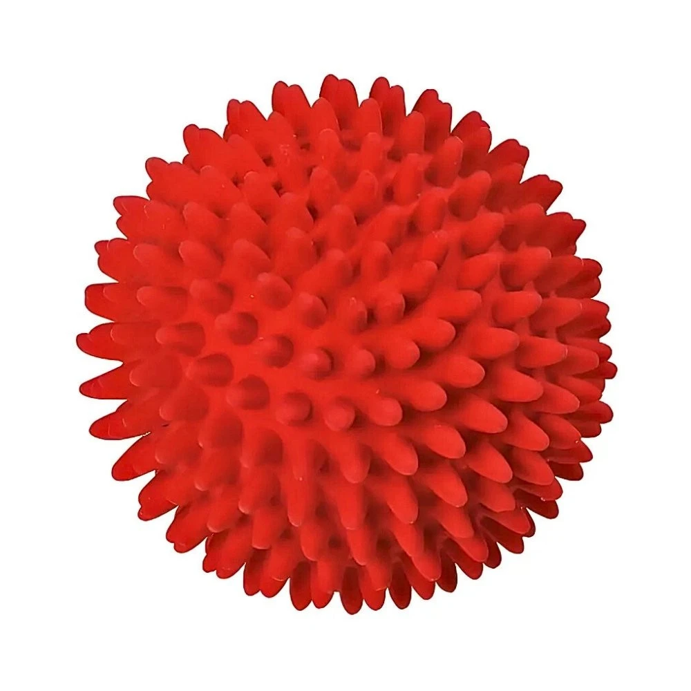 Juguete Pelota Latex con Puas Juguetes para perros Patitas&co