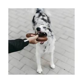 Retorn Juguete Rub Bite para Perro Juguetes para perros Patitas&co