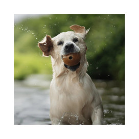 Retorn Juguete Rub Pelota Grande para Perro Juguetes para perros Patitas&co Retorn Juguete Rub Pelota Grande para Perro Juguetes para perros Patitas&co