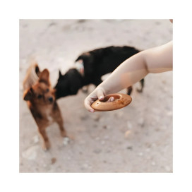 Retorn Juguete Rub Fly para Perro Juguetes para perros Patitas&co