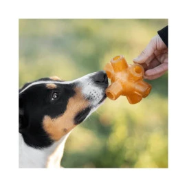 Retorn Juguete Rub Free Jump para Perro Juguetes para perros Patitas&co