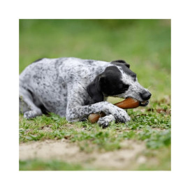 Retorn Juguete Rub Hueso para Perro Juguetes para perros Patitas&co