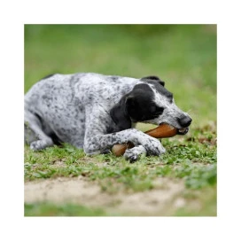 Retorn Juguete Rub Hueso para Perro Juguetes para perros Patitas&co