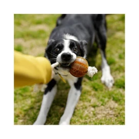 Retorn Juguete Rub Pelota Dental Flotante para Perro Juguetes para perros Patitas&co