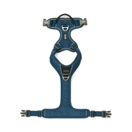 DOG Copenhagen Arnés Azul Comfort Walk Pro para Perro Collar, Correa y Arnes Perro Patitas&co