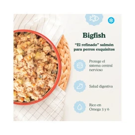 Food for Joe Comida Cocinada Bigfish Pescado para Perro Comida Cocinada para Perro Patitas&co