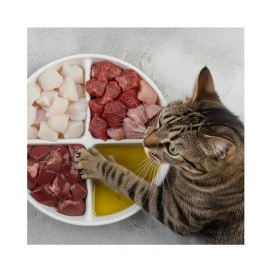 Asesoría + Menús Personalizados Asesoramiento Nutricional Patitas&co