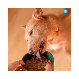 Food for Joe Comida Cocinada Porkdelicius para Perro Comida Cocinada para Perro Patitas&co