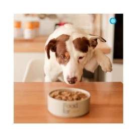 Food for Joe Comida Cocinada Roosterbooster Pollo para Perro Comida Cocinada para Perro Patitas&co