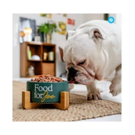 Food for Joe Comida Cocinada Turkeat Pavo para Perro Comida Cocinada para Perro Patitas&co