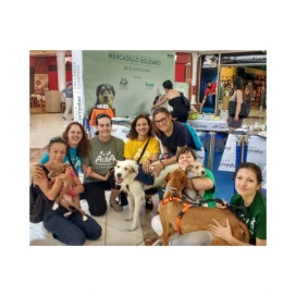 Donación Protectora de Animales Alba (Madrid) Donaciones protectoras Patitas&co