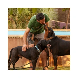 Donación Mohican la Tribu del Perro (Valencia) Donaciones protectoras Patitas&co