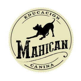 Donación Mohican la Tribu del Perro (Valencia) Donaciones protectoras Patitas&co