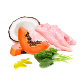 Puromenu Menú Cocinado Pollo Supreme para Perro Comida Cocinada para Perro Patitas&co