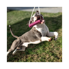 Rucan Stick 5 Lila para Perro Juguetes para perros Patitas&co
